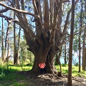 Meet your Posher, Audrey